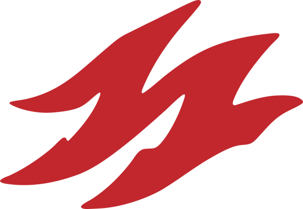 Red abstract logo on a white background